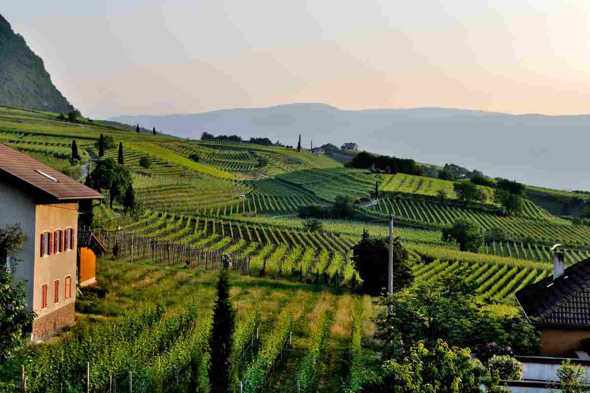 Natale in agriturismo in Abruzzo