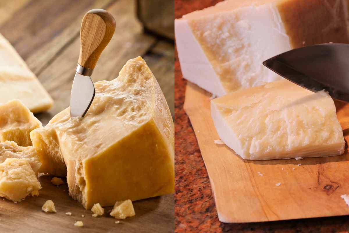 parmigiano grana