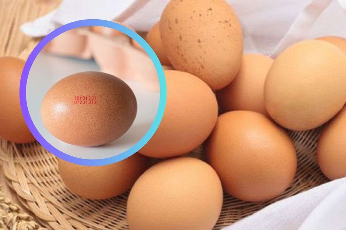 Codice delle uova come si legge