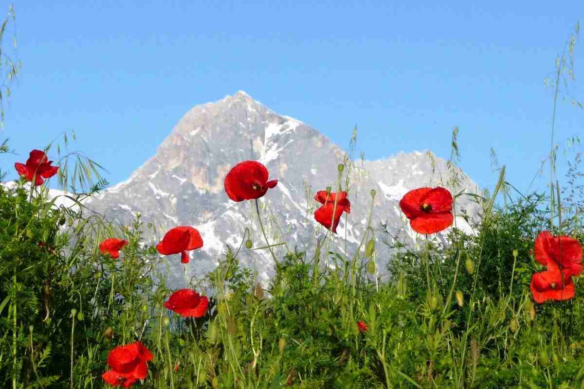 Le invenzioni in Abruzzo