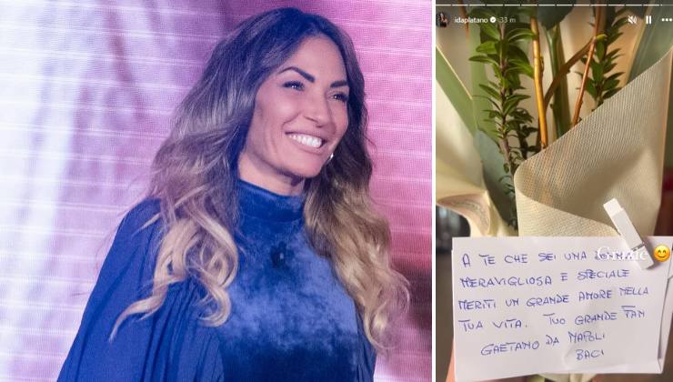 ammiratore ida platano