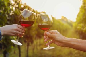due persone brindano in un vitigno delle strade del vino in Abruzzo