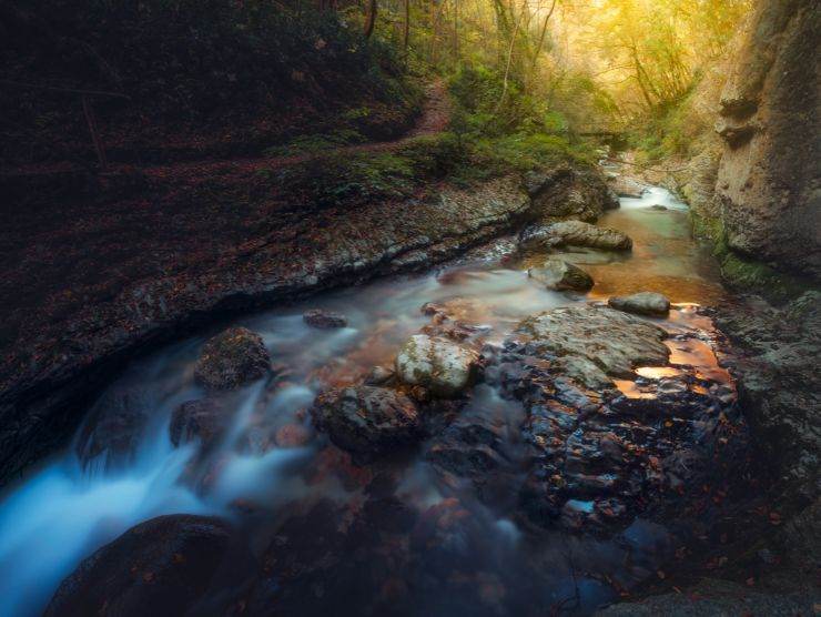 Valle dell'Orfento, biodiversità