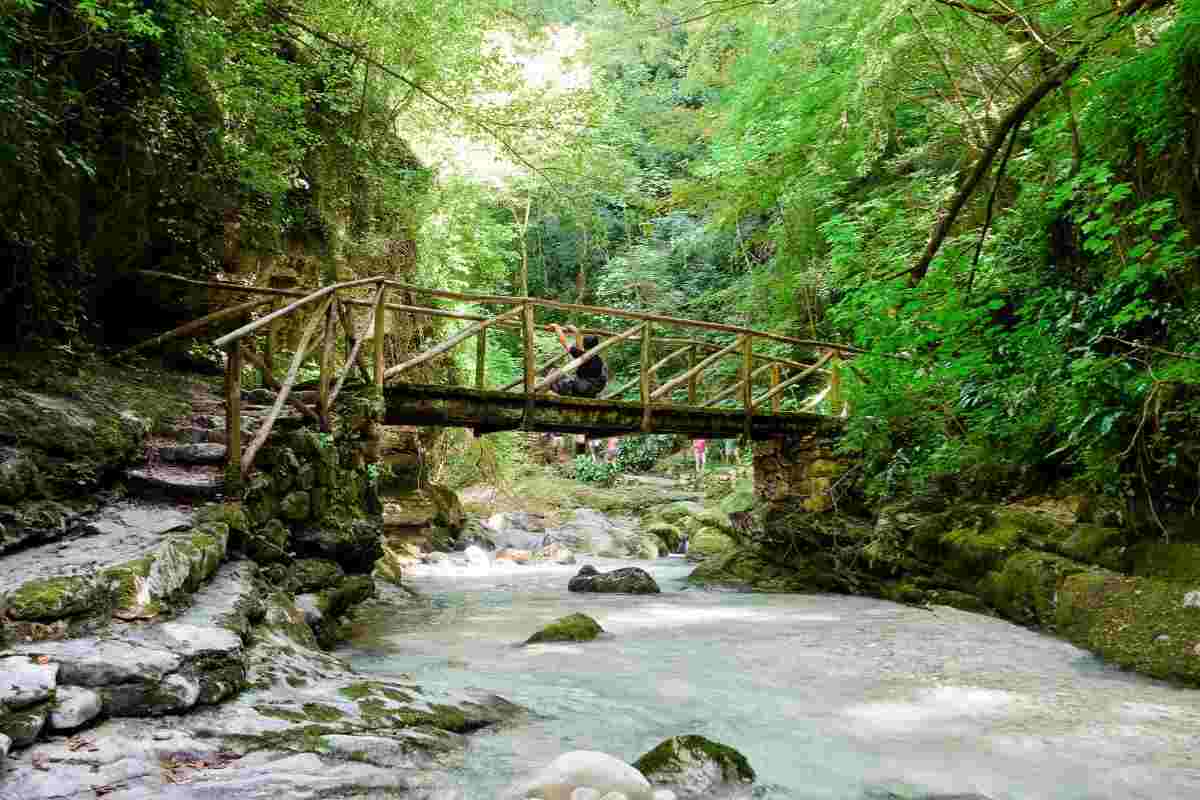 Valle dell'Orfento, biodiversità