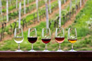 fila di vini in calice con sfondo di vitigno
