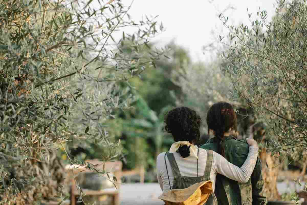 Dove e quando visitarli inabruzzo.it