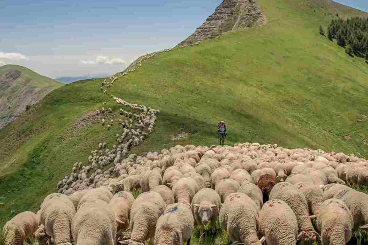 Ecco cos'è inestimabile inabruzzo.it