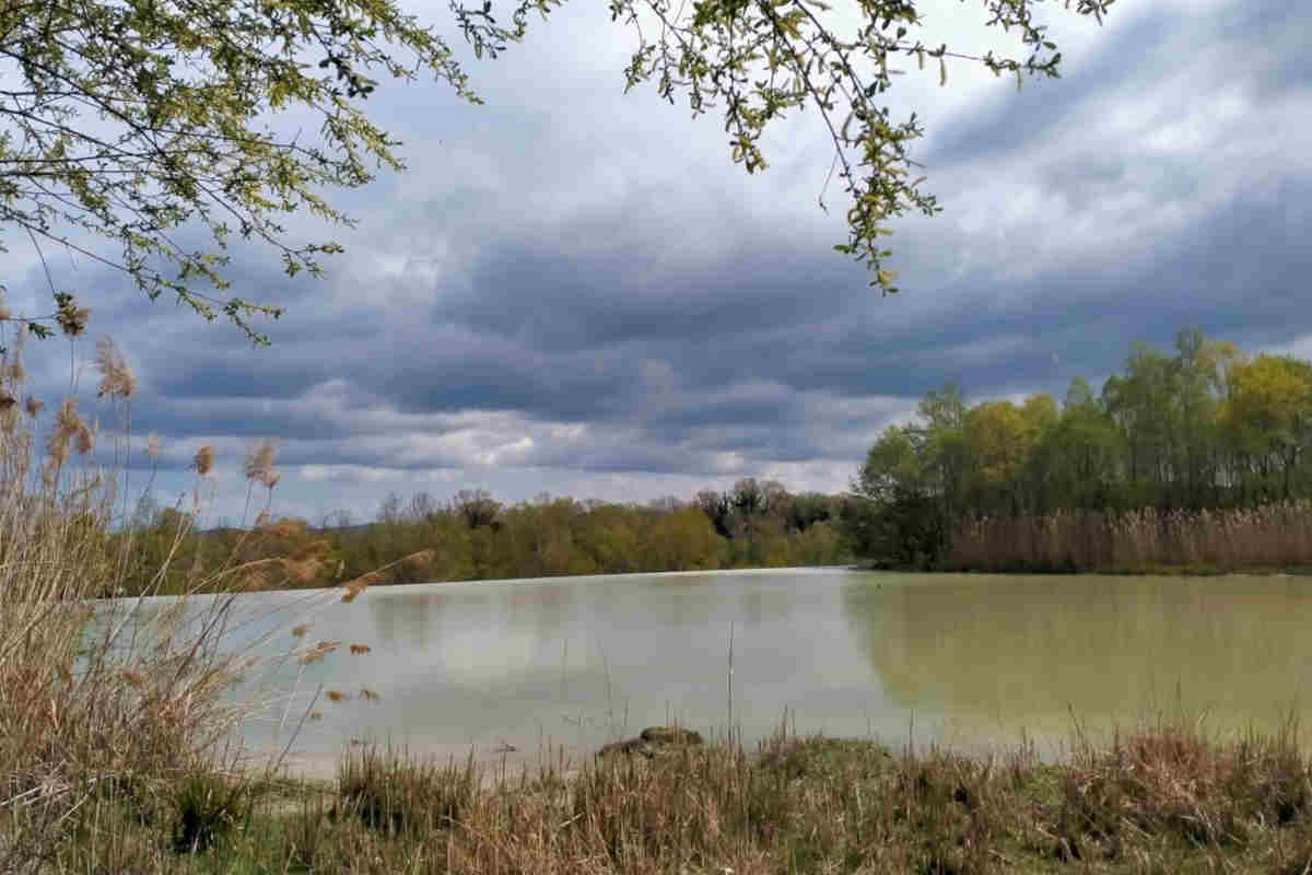 Oasi Lago di Serranella panorama