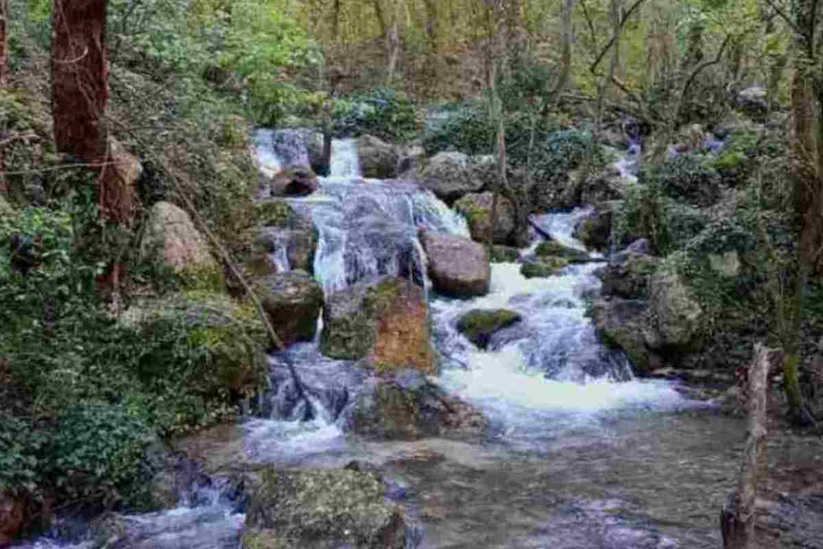 BELLO E SPAVENTOSO foto abruzzowild inabruzzo.it