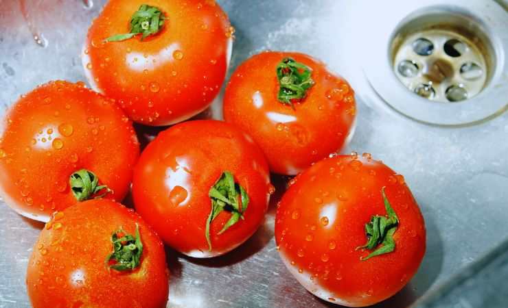 pomodori nel lavandino