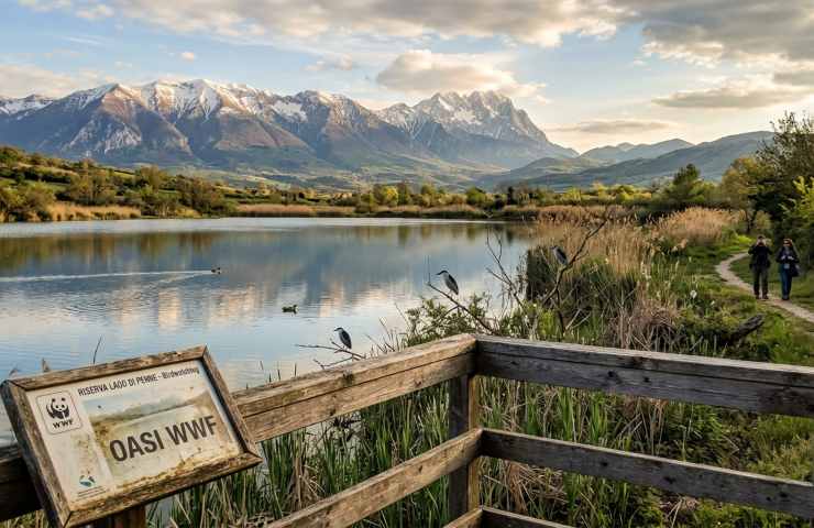 Inquadratura della Riserva Naturale Regionale Lago di Penne, Abruzzo, con capanno per il birdwatching, canneti, alberi e vista sul lago e montagne.