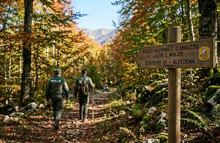 Pattuglia Guardiaparco su sentiero Alfedena nel Parco Nazionale d'Abruzzo.